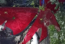 На Львівщині за добу сталося 12 ДТП з потерпілими