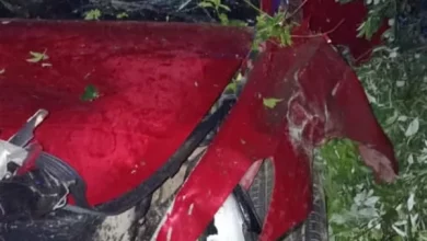 На Львівщині за добу сталося 12 ДТП з потерпілими