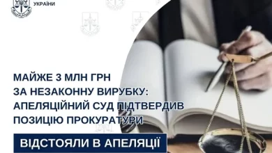Апеляційний суд зобов’язав Стрийську міськраду відшкодувати збитки за незаконну вирубку