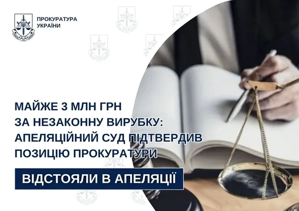 Апеляційний суд зобов’язав Стрийську міськраду відшкодувати збитки за незаконну вирубку