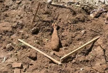 На Львівщині знищили дві мінометні міни часів Другої світової війни