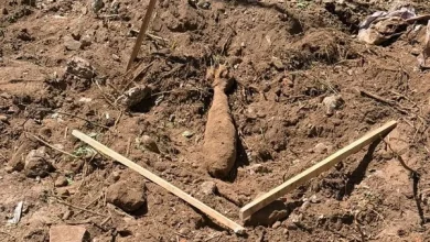 На Львівщині знищили дві мінометні міни часів Другої світової війни