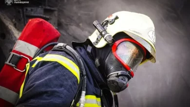 На Львівщині за добу ліквідували 12 пожеж, з них три в екосистемах