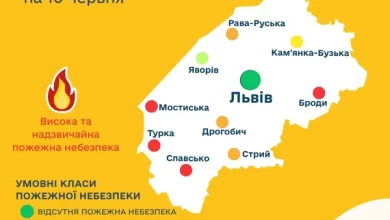 На 10 червня прогнозують надзвичайну пожежну небезпеку