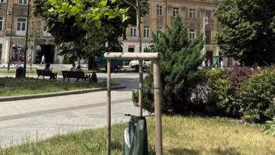У львівських парках на молодих деревах встановили поливальні мішки