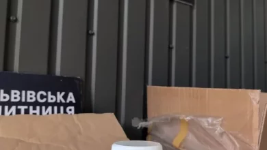 У Шегинях вилучили незадекларований стоматологічний сплав на пів мільйона гривень