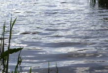 У Львові представлять «Водну Візію Львова 2100» про майбутнє водної системи
