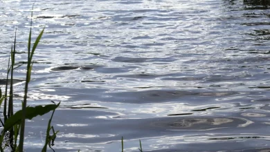 У Львові представлять «Водну Візію Львова 2100» про майбутнє водної системи