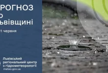 Прогноз погоди на 11 червня для Львова та області