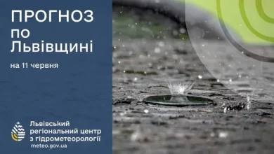 Прогноз погоди на 11 червня для Львова та області