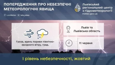 На Львівщині 11 червня очікують грози, шквали вітру та град