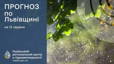 На Львівщині прогнозують короткочасні дощі та грози