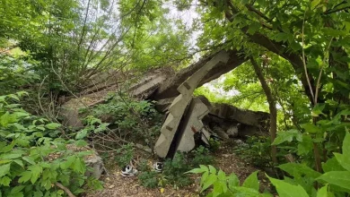 У Львові впорядкують узбіччя до Голосківського кладовища та засіють газон