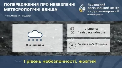 На Львівщині до кінця доби 12 червня очікують значний дощ