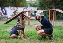 У Львові стартує програма емоційного відновлення UNBROKEN ANIMALS з собаками-компаньйонами