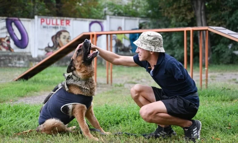 У Львові стартує програма емоційного відновлення UNBROKEN ANIMALS з собаками-компаньйонами