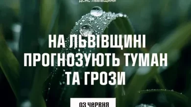 На Львівщині 3 червня прогнозують туман і грози