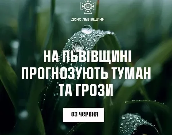 На Львівщині 3 червня прогнозують туман і грози