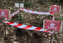 У лісі біля Бортятина на Яворівщині знайшли мінометну міну часів Другої світової