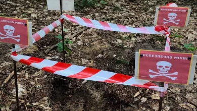У лісі біля Бортятина на Яворівщині знайшли мінометну міну часів Другої світової