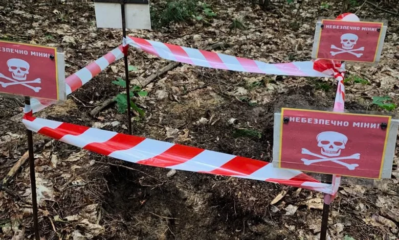 У лісі біля Бортятина на Яворівщині знайшли мінометну міну часів Другої світової