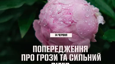 14 червня на Львівщині очікують грози та пориви сильного вітру