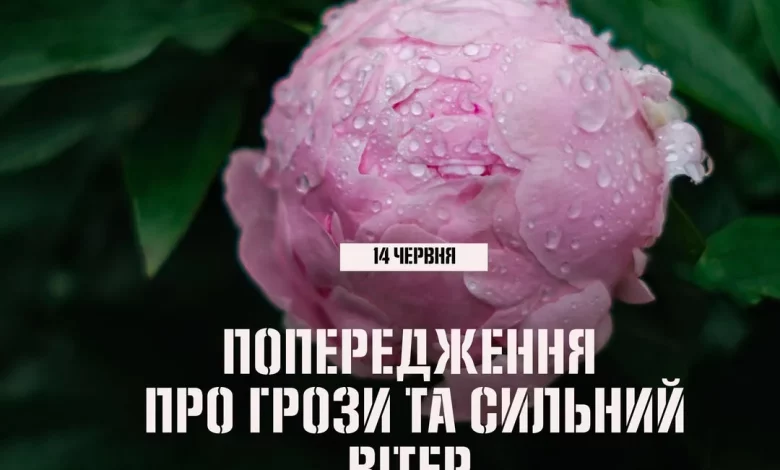 14 червня на Львівщині очікують грози та пориви сильного вітру