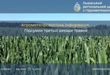 На Львівщині агрометеорологи зафіксували теплу й суху третю декаду травня