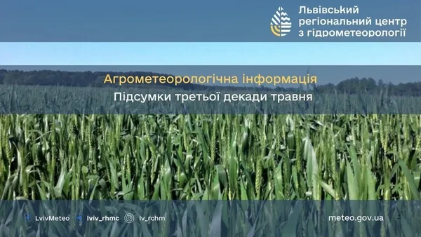 На Львівщині агрометеорологи зафіксували теплу й суху третю декаду травня