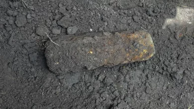 У селі Ямпіль на городі виявили артснаряд часів Другої світової війни