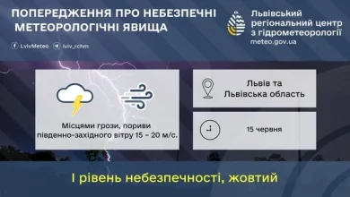 На Львівщині 15 червня прогнозують грози та сильний вітер