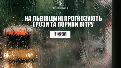 На Львівщині 15 червня прогнозують грози та сильний вітер