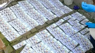 У Стрию засудили чоловіка за організацію незаконного виїзду за кордон