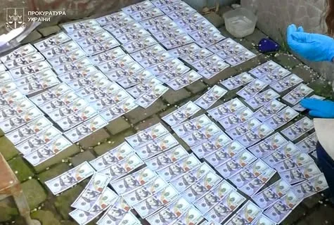 У Стрию засудили чоловіка за організацію незаконного виїзду за кордон