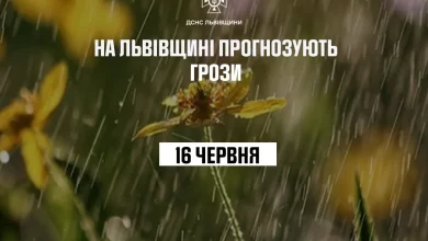 16 червня на Львівщині прогнозують грози та сильний вітер