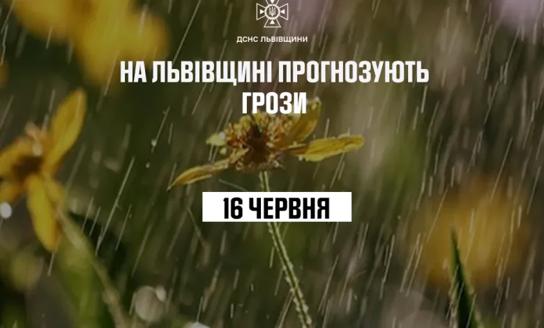 16 червня на Львівщині прогнозують грози та сильний вітер