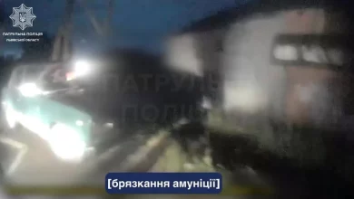На Львівщині нетверезий водій ВАЗ збив дорожній знак і отримав кілька протоколів