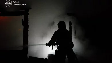 На Львівщині за добу ліквідували 12 пожеж, половина — в екосистемах