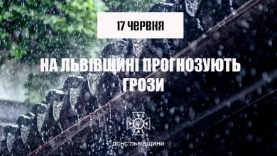 На Львівщині 17 червня прогнозують грози першого рівня небезпечності