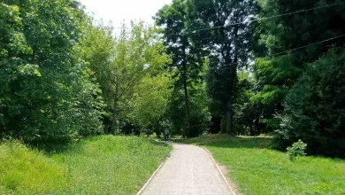 У Винниках парк Вайнберга облаштували новою зоною відпочинку