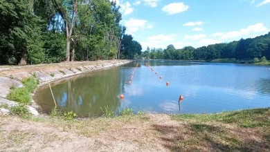 У парку Богдана Хмельницького в Дрогобичі готують пляжну зону до літа