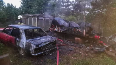 У селі Кротошин Львівського району загорілися вулик та автомобіль