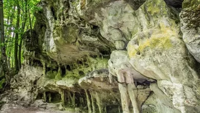 Скельні комплекси Львівщини: сім локацій для мандрівок і досліджень