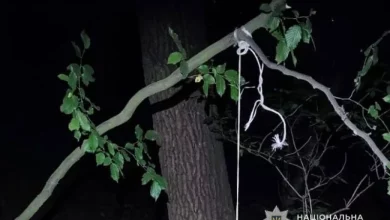 На Львівщині чоловіка підозрюють у жорстокому поводженні з собакою