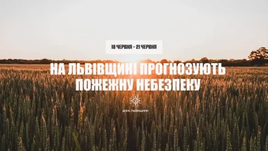 На Львівщині оголосили надзвичайну пожежну небезпеку