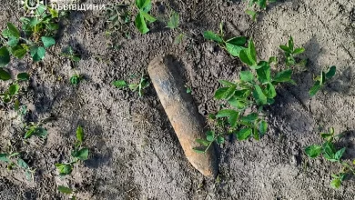 У селі Батьків на Золочівщині знищили два артснаряди часів Другої світової