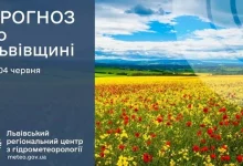 На Львівщині прогнозують дощі, грози та туман