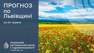 На Львівщині прогнозують дощі, грози та туман