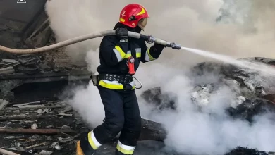 На Львівщині за добу ліквідували 18 пожеж, з них шість в екосистемах