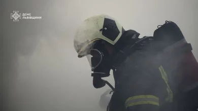 За добу на Львівщині рятувальники загасили 28 пожеж, серед них 15 в екосистемах